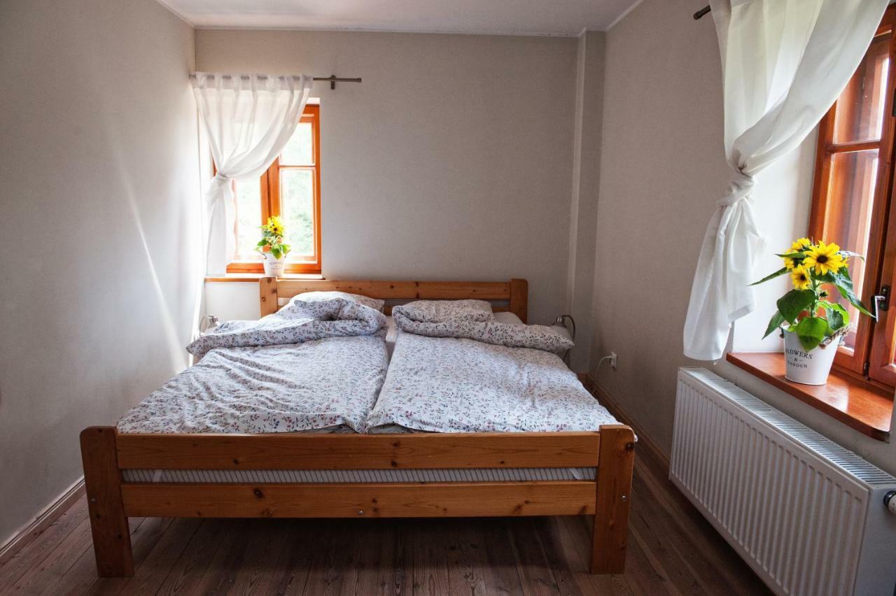 Potoczek 19 Villa Międzylesie Dış mekan fotoğraf