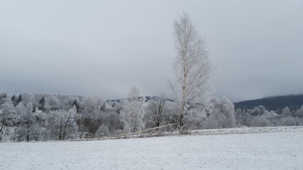 Potoczek 19 Villa Międzylesie Dış mekan fotoğraf